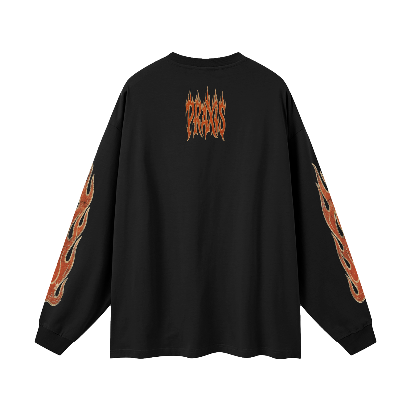 Praxis Longsleeve