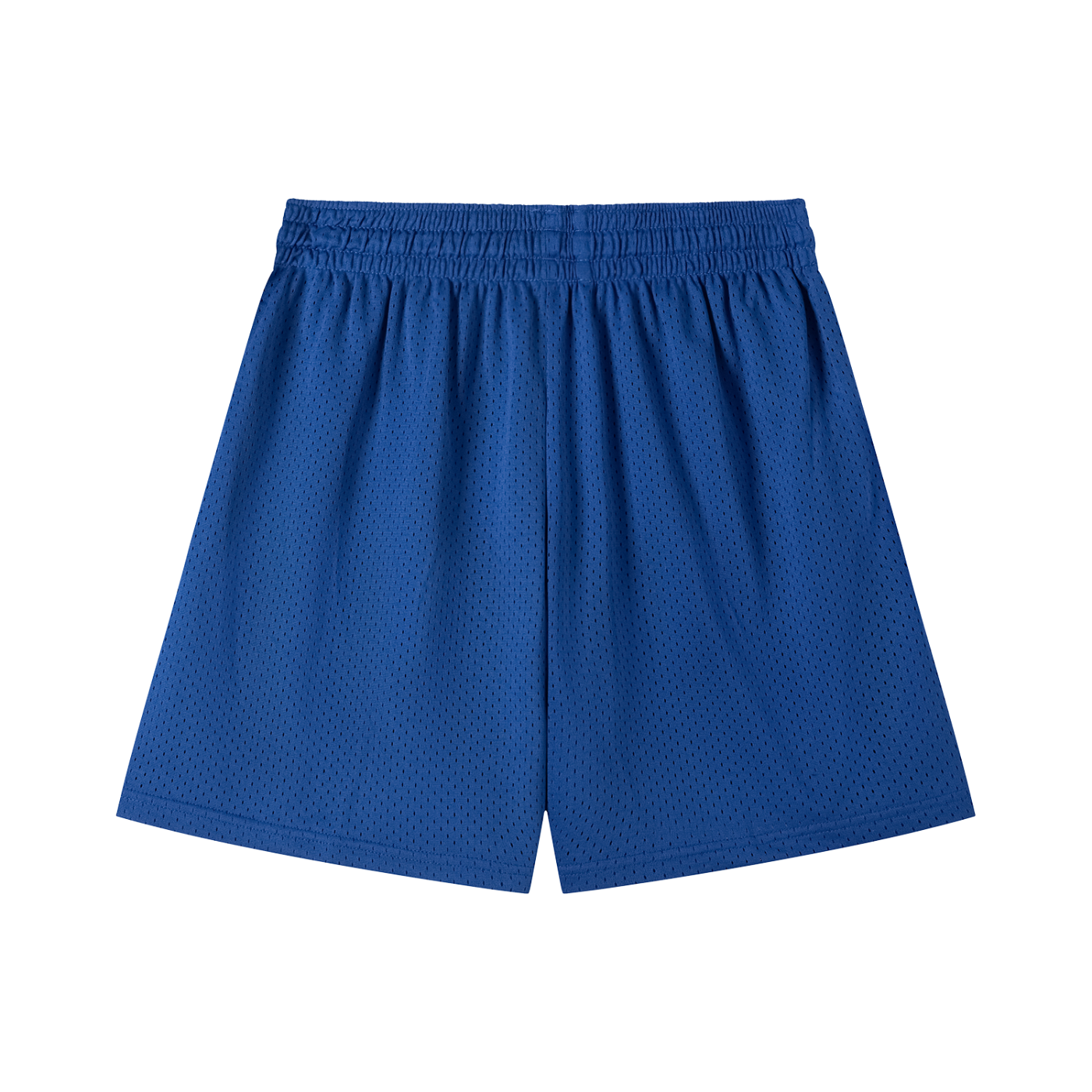 Praxis Mesh Shorts