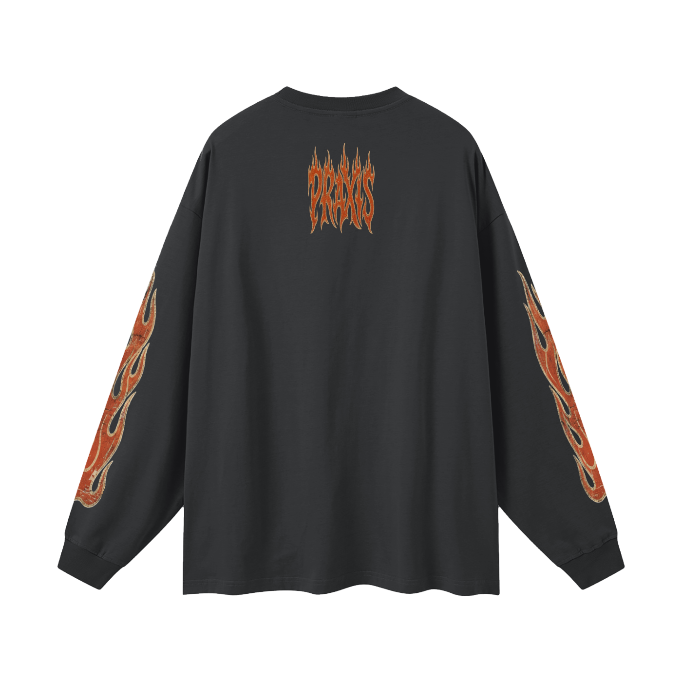 Praxis Longsleeve